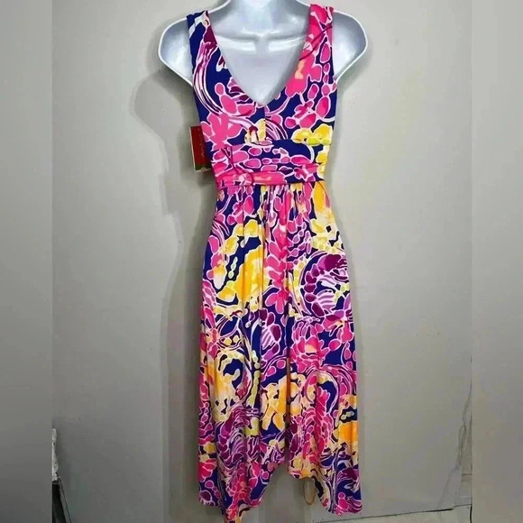 NWT Lily Pulitzer Sloane Midi Dress Catch and Release Size XXS - Picture 7 of 8